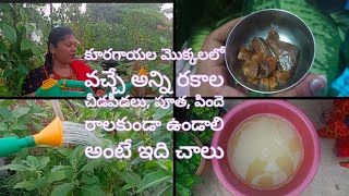 ఇంగువ ద్రావణం | inguva Dhravanam for plants |Hing ||inguva uses in telugu