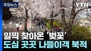 일찍 찾아온 벚꽃에 시민들 얼굴도 활짝...\