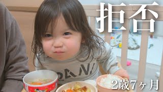 【2歳7ヶ月】あまり触れてこなかった○○について触れていくことにしました。｜A daughter who doesn't like to eat. 【年子育児】