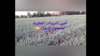 أقوى المبيدات الفطريه التي تكافح امراض البصل مثل البياض الزغبى و اللطعه الأرجوانية مع بعض النصائح