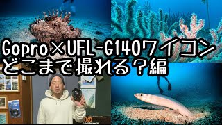 [伊豆ダイビング]Gopro×UFL-G140ワイコン！どこまで撮れる？編