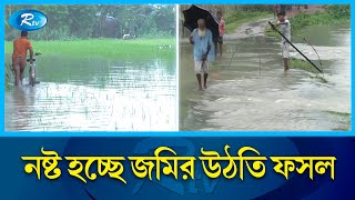 প্রতিদিনই প্লাবিত হচ্ছে নতুন নতুন এলাকা | Sirajganj | Flood | River | Water Increased | Rtv News