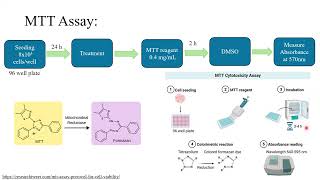 MTT assay - Protocol, principle and troubleshooting - DETAILED EXPLANATION