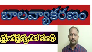 బాలవ్యాకరణం//ద్రుతప్రకృతిక సంధి  Balavyakaranam Drutaprakrutika sandhi