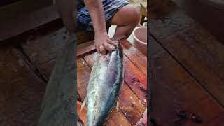 Tuna Fish | (சூரை) மீன்| 🦈🔪