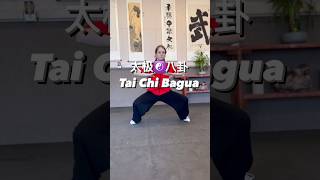 Tai Chi and Bagua 太极和八卦. #taichi #taiji #wushu #太极拳 #武术 #martialarts #太极拳 #八卦 #功夫 #kungfu #bagua