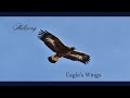 Hillsong - Eagle's Wings (Aesthetic Video ) Top Worship Video