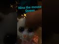 Nina the mouse Queen