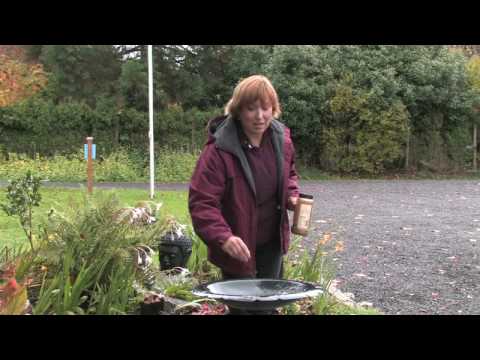 Garden Maintenance : How to Repel House Cats From Outdoor Bird Feeders Garden Maintenance : How to Repel House Cats From Outdoor Bird Feeders
