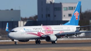 China Southern Hometown Henan Livery Boeing 737-800 B-1979 Landing at Narita 34R | NRT/RJAA | 中国南方航空