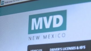 State warns of wrong MVD website