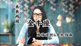 金牛座，未来两周，感情波折\u0026危机指南