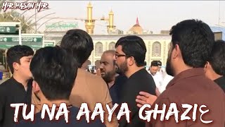 Tu Na Aaya Ghaziع | Mir Hasan Mir  Noha | Karbala Live | Mola Abbas (a.s) Noha |