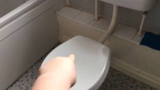 THE MAGIC TOILET GOD