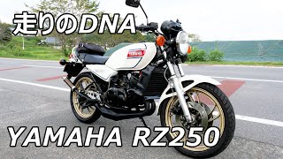 2ストのDNA ヤマハRZ250