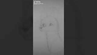 Csináltam egy teát. ( one of my tiktok posts )