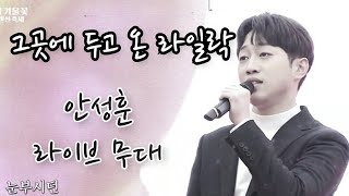 🌸그곳에 두고 온 라일락🌸 감성 보컬 안성훈 트로트 신곡 라이브 무대 음악감상