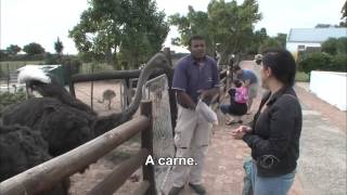 Cidade do Cabo (África do Sul) | O Mundo Segundo os Brasileiros | 03/06/2013 | HD