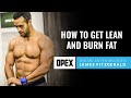 How to Gain Lean Muscle Naturally and Lose Body Fat