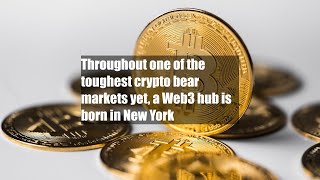 Throughout one of the toughest crypto bear markets yet, a Web3 hub is