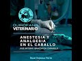 Anestesia y Analgesia en el Caballo