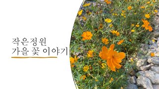 작은정원 가을꽃이야기