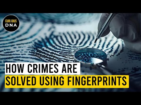 What is used for fingerprinting?