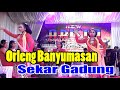 CALUNG ORLENG BANYUMASAN RICIK RICIK SEKAR GADUNG || NEW ARISTA MUSIC LIVE SAMPANG