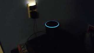 Alexa Exposed