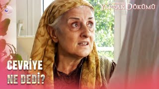 Cevriye, Tahsin'e Ne Söyledi? - Yaprak Dökümü 163. Bölüm