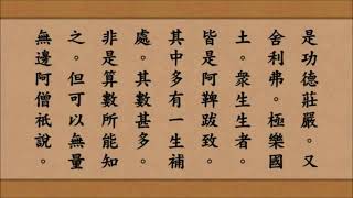 《佛說阿彌陀經》 崔居士恭誦  (宽屏回向A)