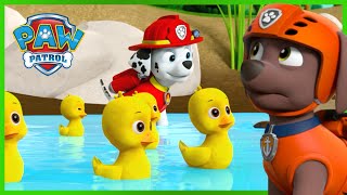 Marshall Saves the Duck Pond and more! - PAW Patrol - Cartoons for Kids Compilation