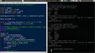 Python Basics: File Paths