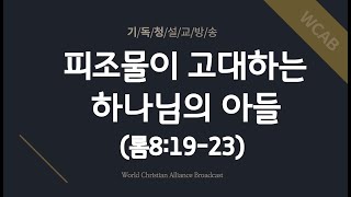 기독청설교방송 [피조물이 고대하는 하나님의 아들 ]- 청장 김노아 목사