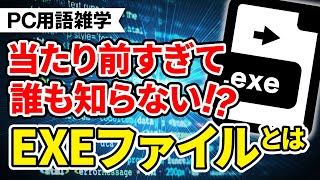 【ゆっくり解説】実はクリックするだけでは動かない、実行形式EXEファイルって何？PC初心者向け！PC用語解説！