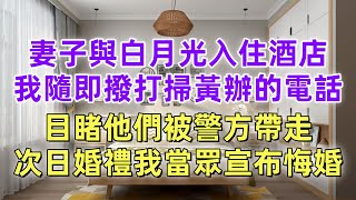 妻子與白月光入住酒店，我隨即撥打掃黃辦的電話，目睹他們被警方帶走，次日婚禮我當眾宣佈悔婚。#一口氣看完 #小說 #完結小說