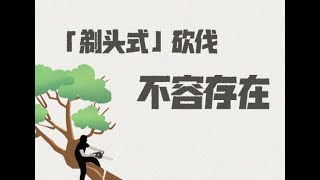 敦煌阳关林场被指遭「剃头式」砍伐，原因肯定不是老百姓种葡萄。