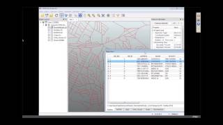 What is the FME Data Inspector?