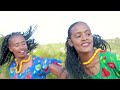 new oromo music 2023 siifan fayyeeraa