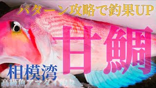 【アマダイ釣り】真冬の相模湾で高級魚アマダイ釣り〜#海釣り #アマダイ #冬の釣り