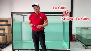 Sự khác biệt giữa phao hố đấu tự cân và không tự cân | Thế Giới Fishing