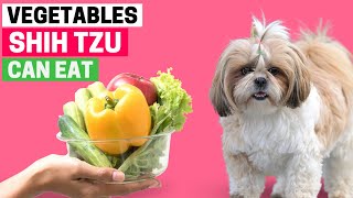 12 Vegetables Shih Tzus Can Eat (With Feeding Guide)