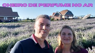 Lavandário Het Dorp - Uma experiência linda e perfumada.