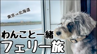 北海道旅#1  ミニチュアシュナウザーとさんふらわあで10日間の旅へ《ウィズペットルーム大洗⇨苫小牧》【多頭飼い】【犬とフェリー旅】