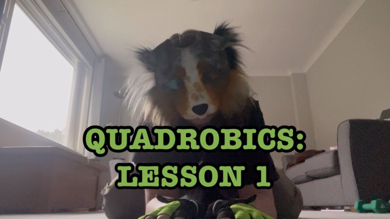 Quadrobics Lesson 1 рџђѕ Youtube