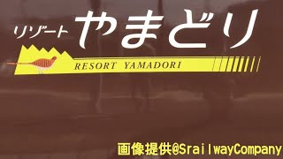 485系ジョイフルトレインリゾートやまどりE217系(車内)とのすれ違いシーン