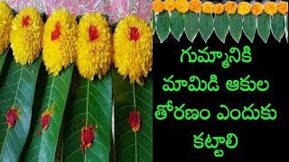 గుమ్మానికి మామిడి ఆకుల తోరణం ఎందుకు కట్టాలి || మామిడి ఆకుల తోరణాలతో.. ఆర్థిక ఇబ్బందులు పరార్