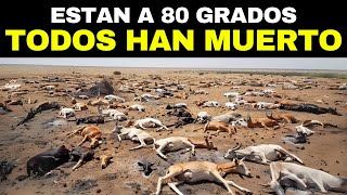 Los 20 Desiertos Más Mortíferos y Peligrosos de la Tierra