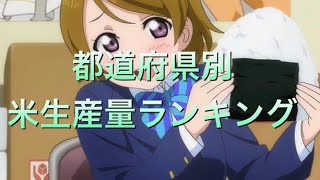 【お米】都道府県別米生産量ランキング！