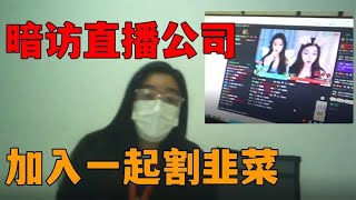 我找了一份新工作，我决定加入他们一起割韭菜！【五音不玄】